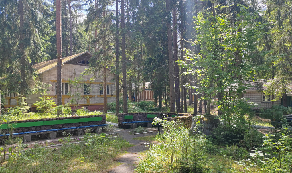Лесное-3.jpg